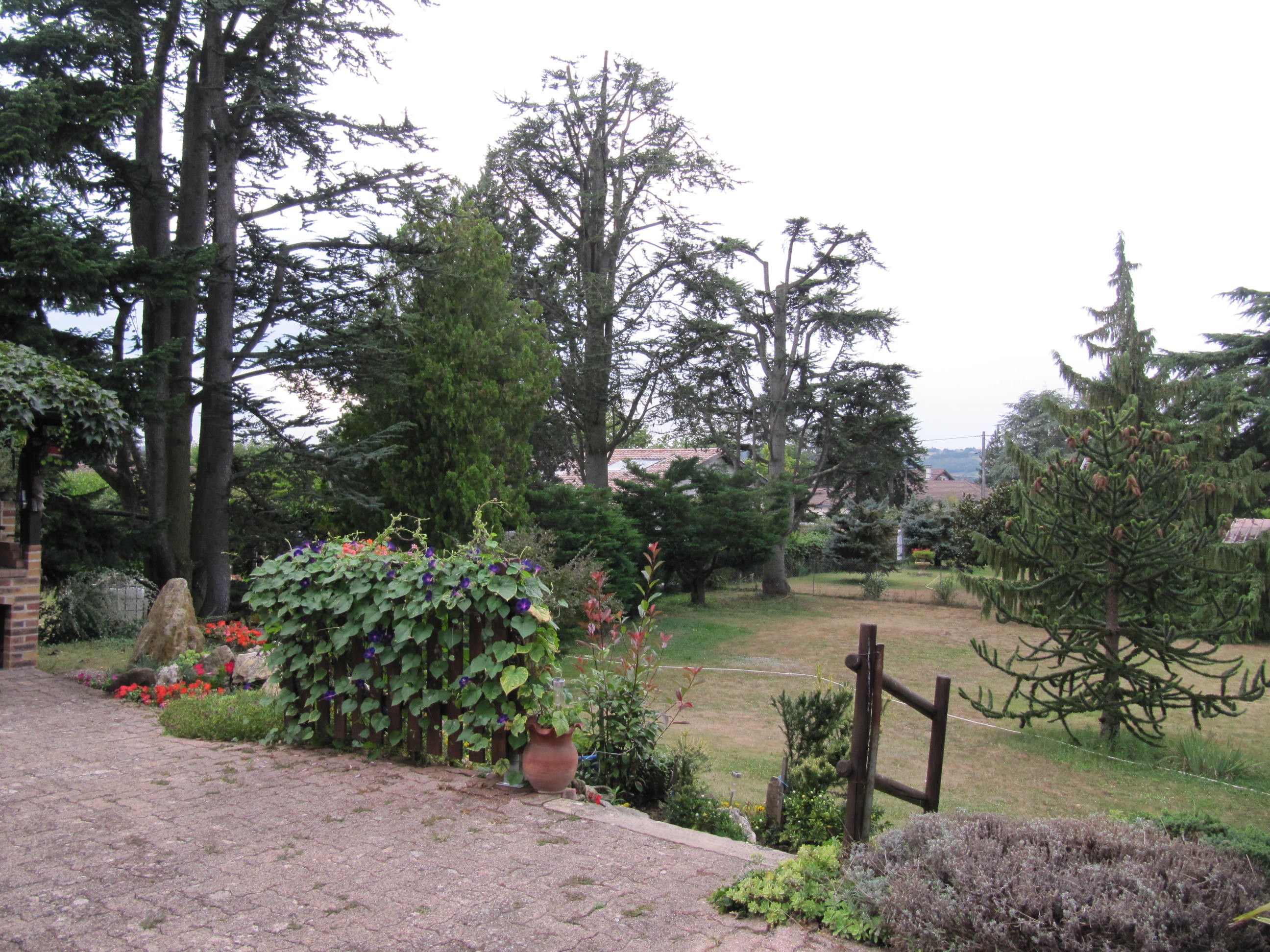 Photo n° 20 de la location