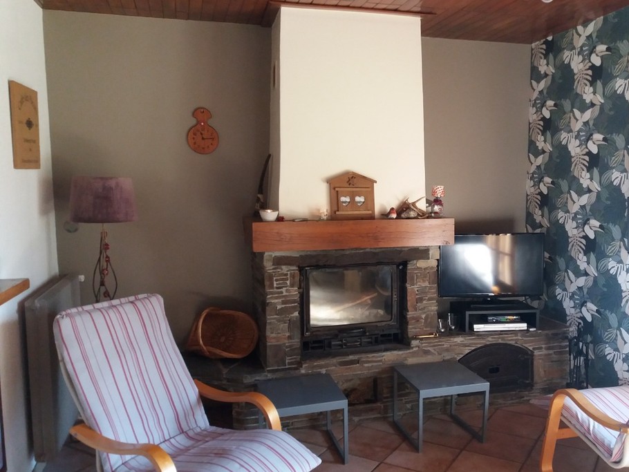 salon - cheminée