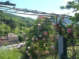 Image n° 4 de la location