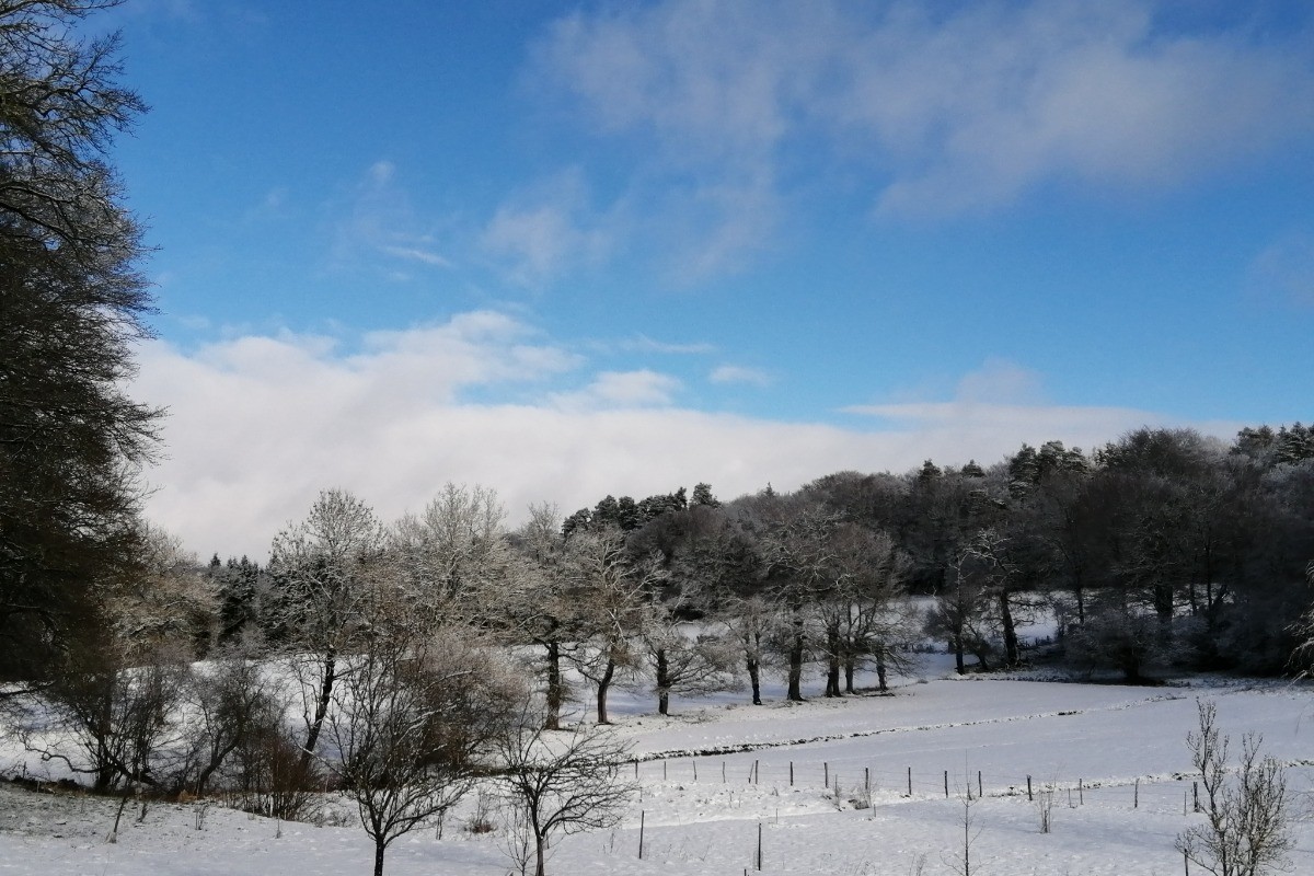 Hiver à Jeangouloux