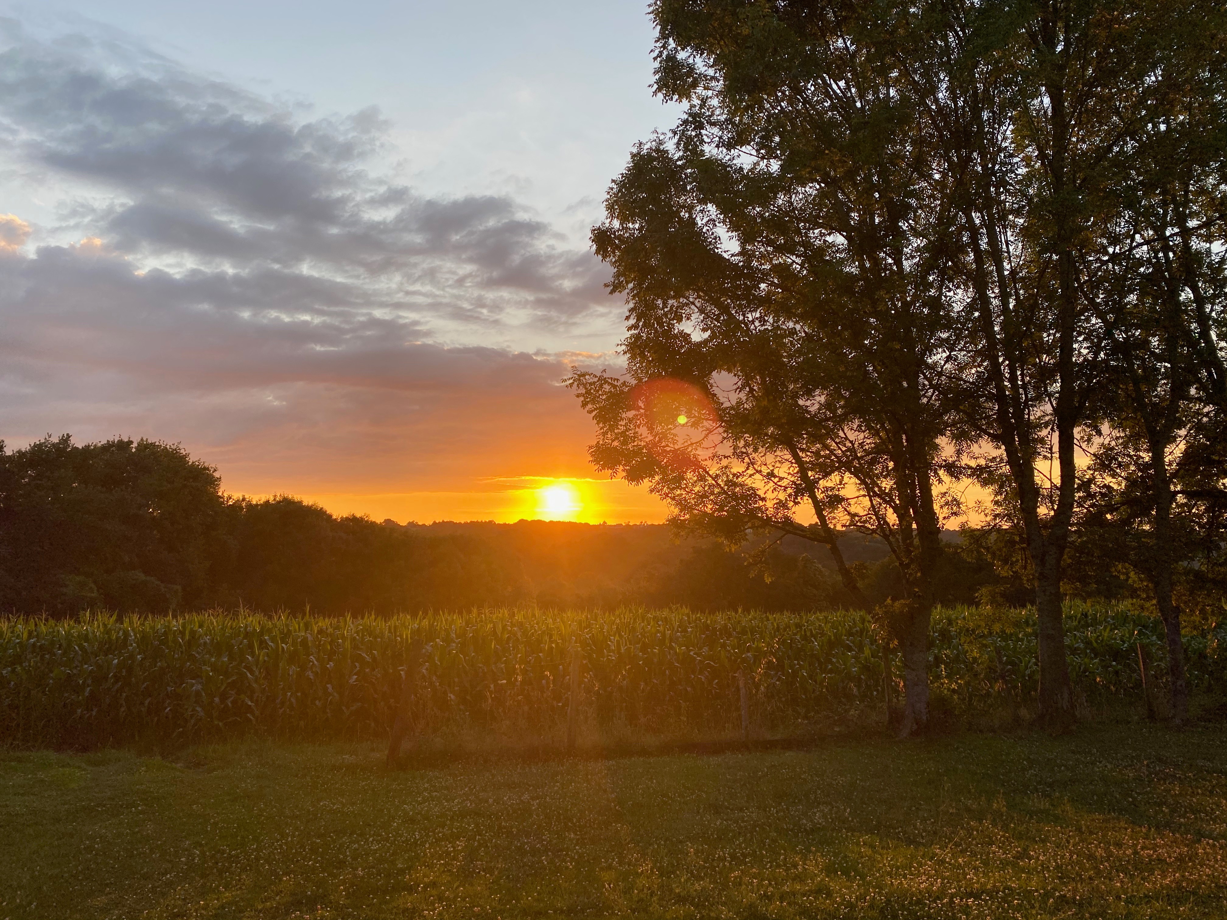 vue depuis le gîte