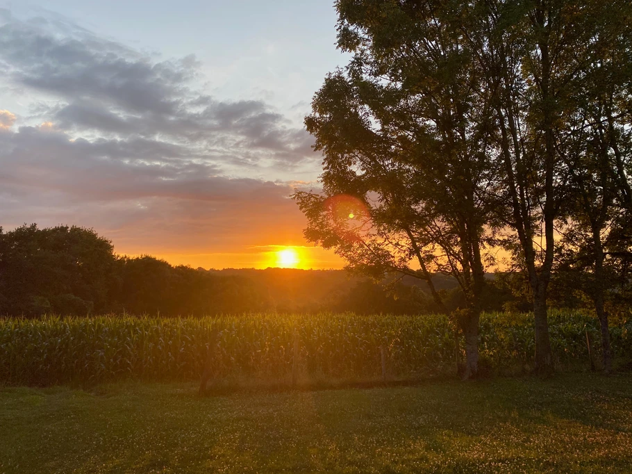 vue depuis le gîte