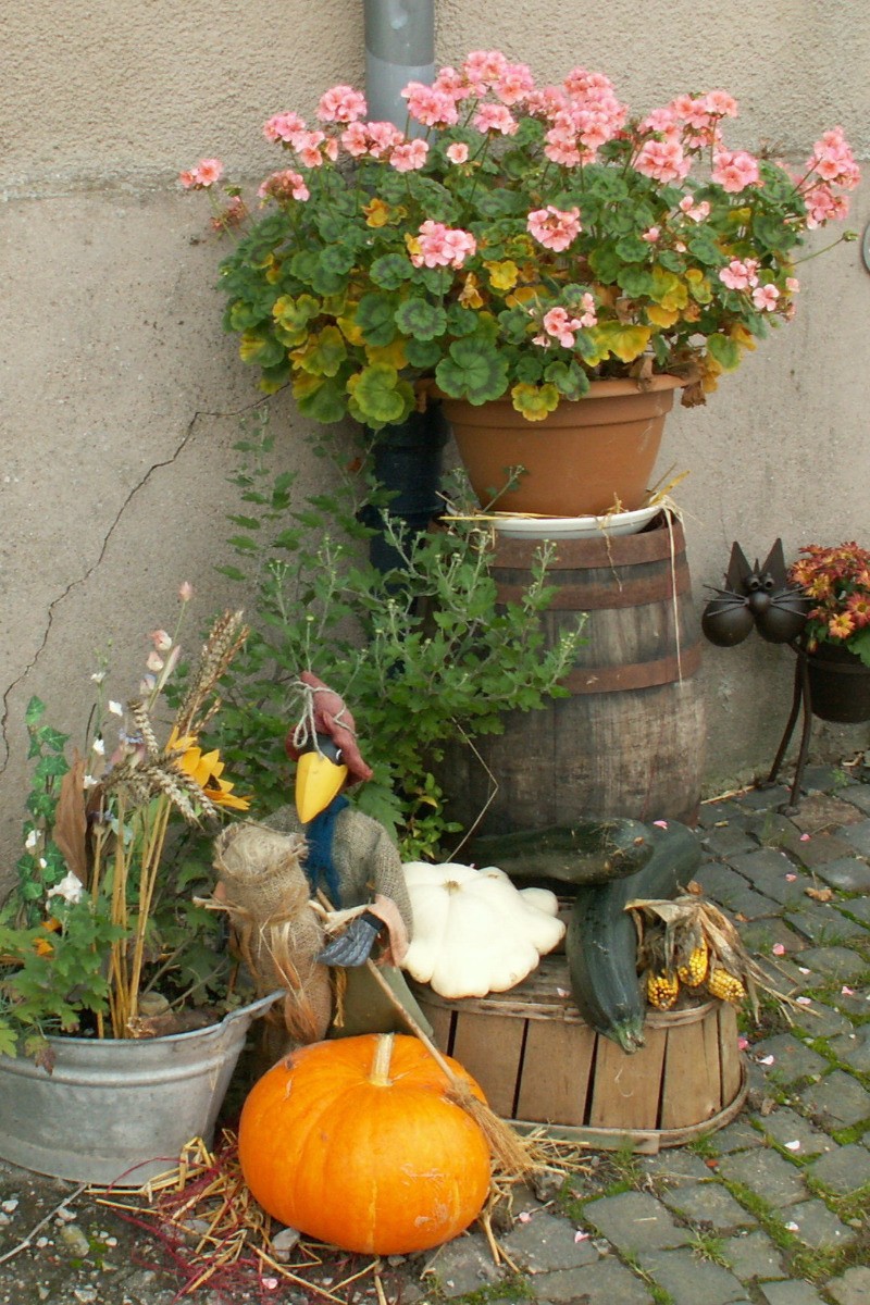 Ici, la vie est rythmée par la Nature et les saisons.