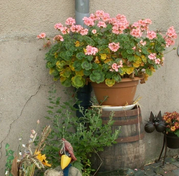 Ici, la vie est rythmée par la Nature et les saisons.