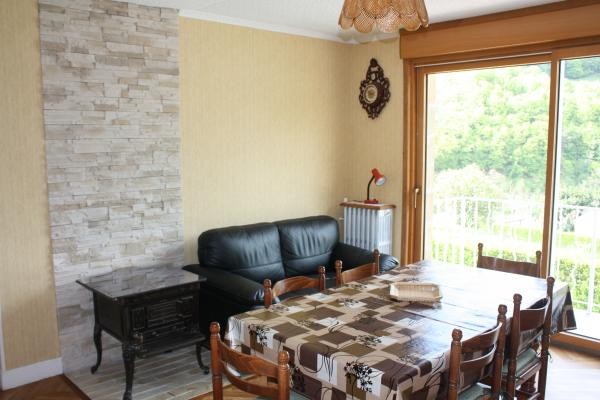 Location Neuvéglise Salle de séjour / salon