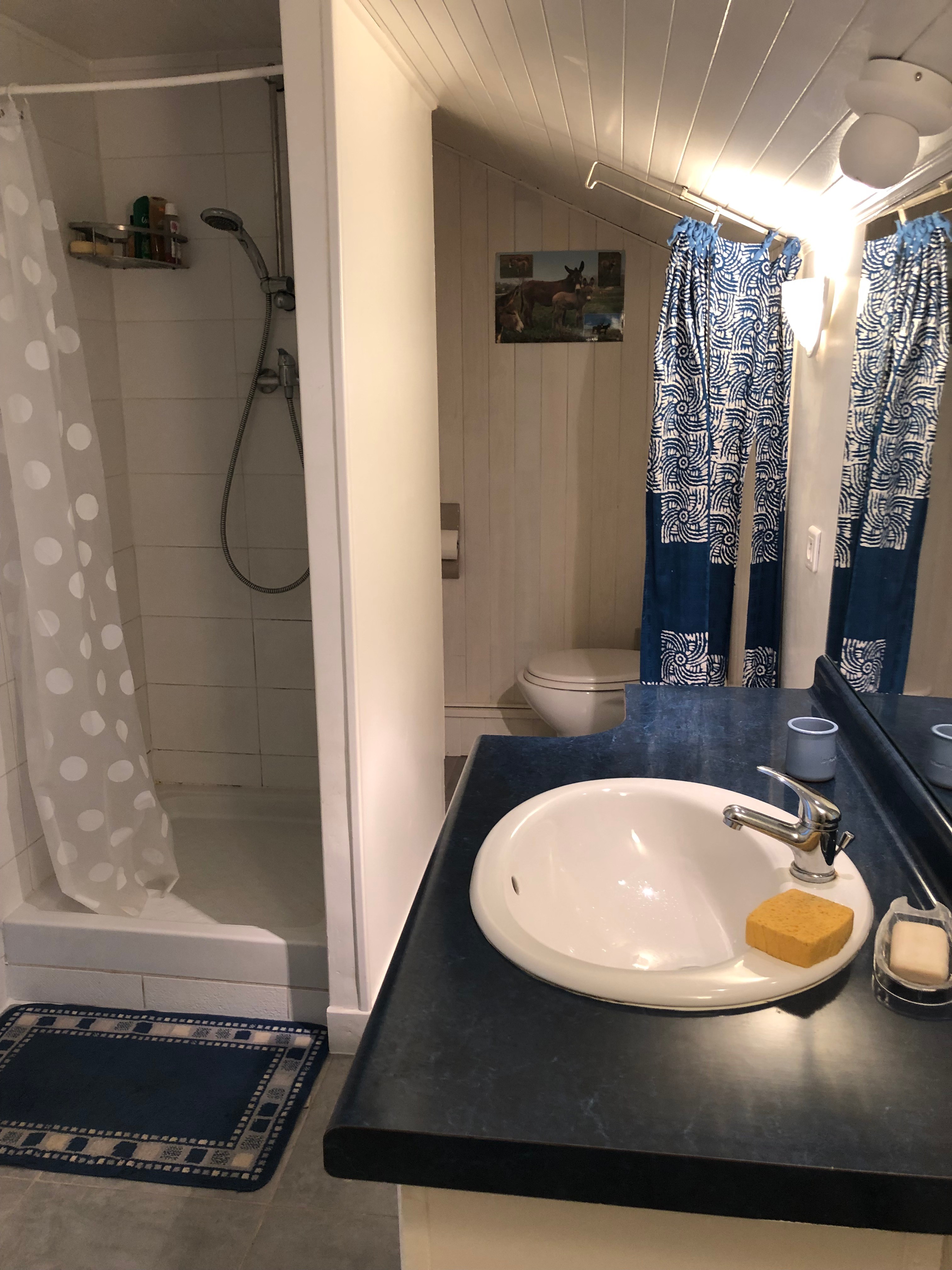 Photo n° 12 de la location