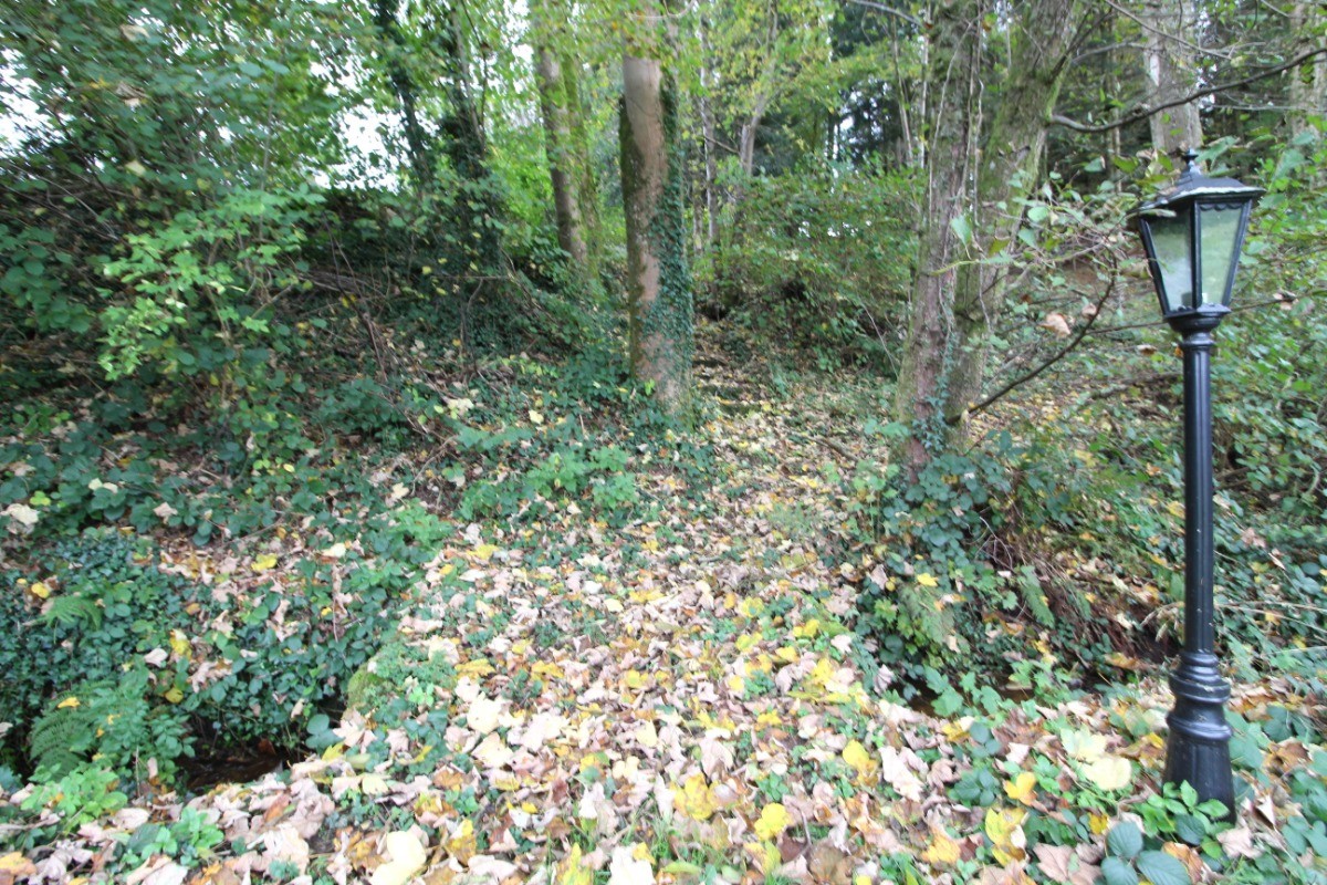 Extérieur commun - Gîte Alfonsina Strada, Docelles