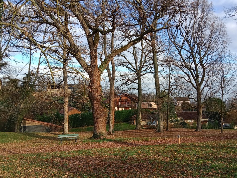 Photo n° 17 de la location