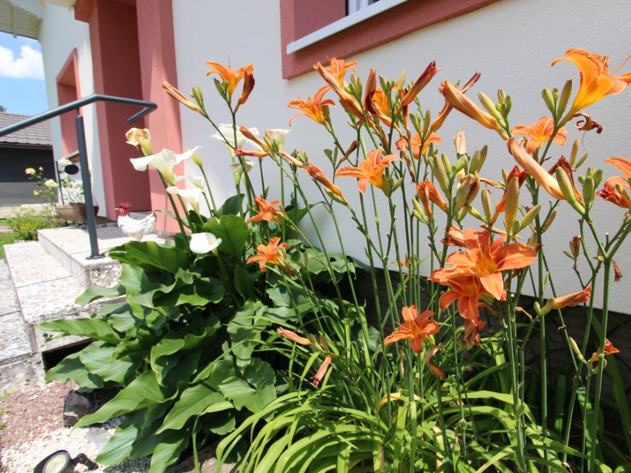 Chez Papy Roger - Extérieur