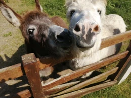 Image n° 5 de la location