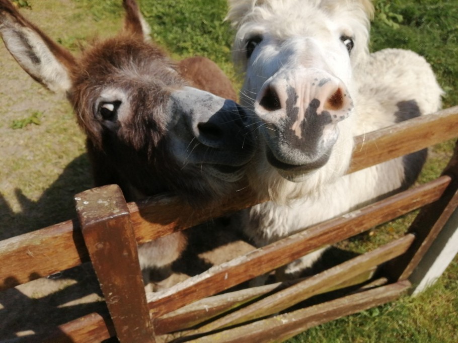 Photo n° 5 of the location