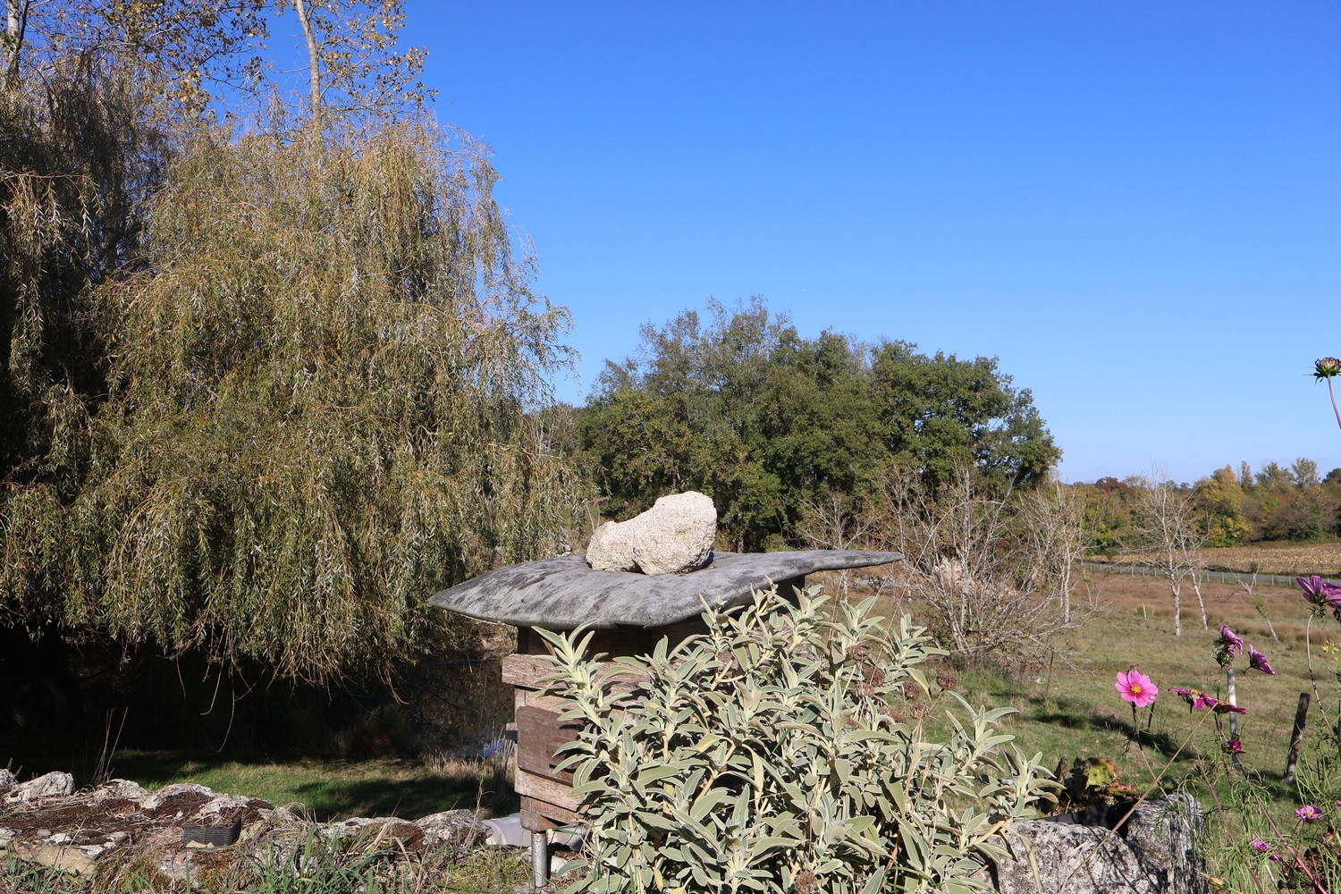 Photo n° 10 de la location