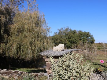 Photo n° 10 de la location