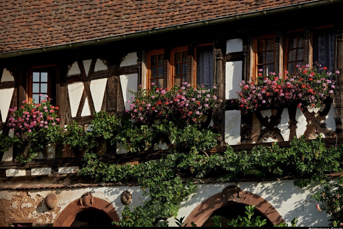 maison alsacienne à colombages