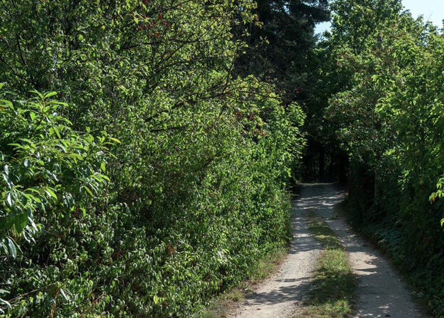 Photo n° 17 de la location