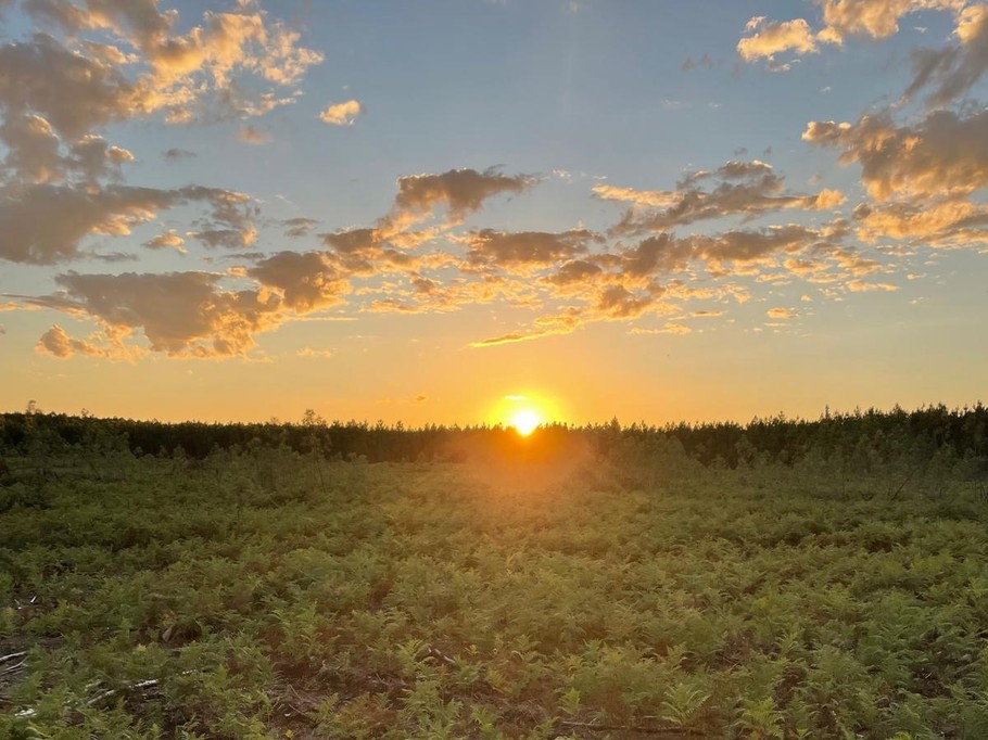 Gîte d'Hybère - Forêt