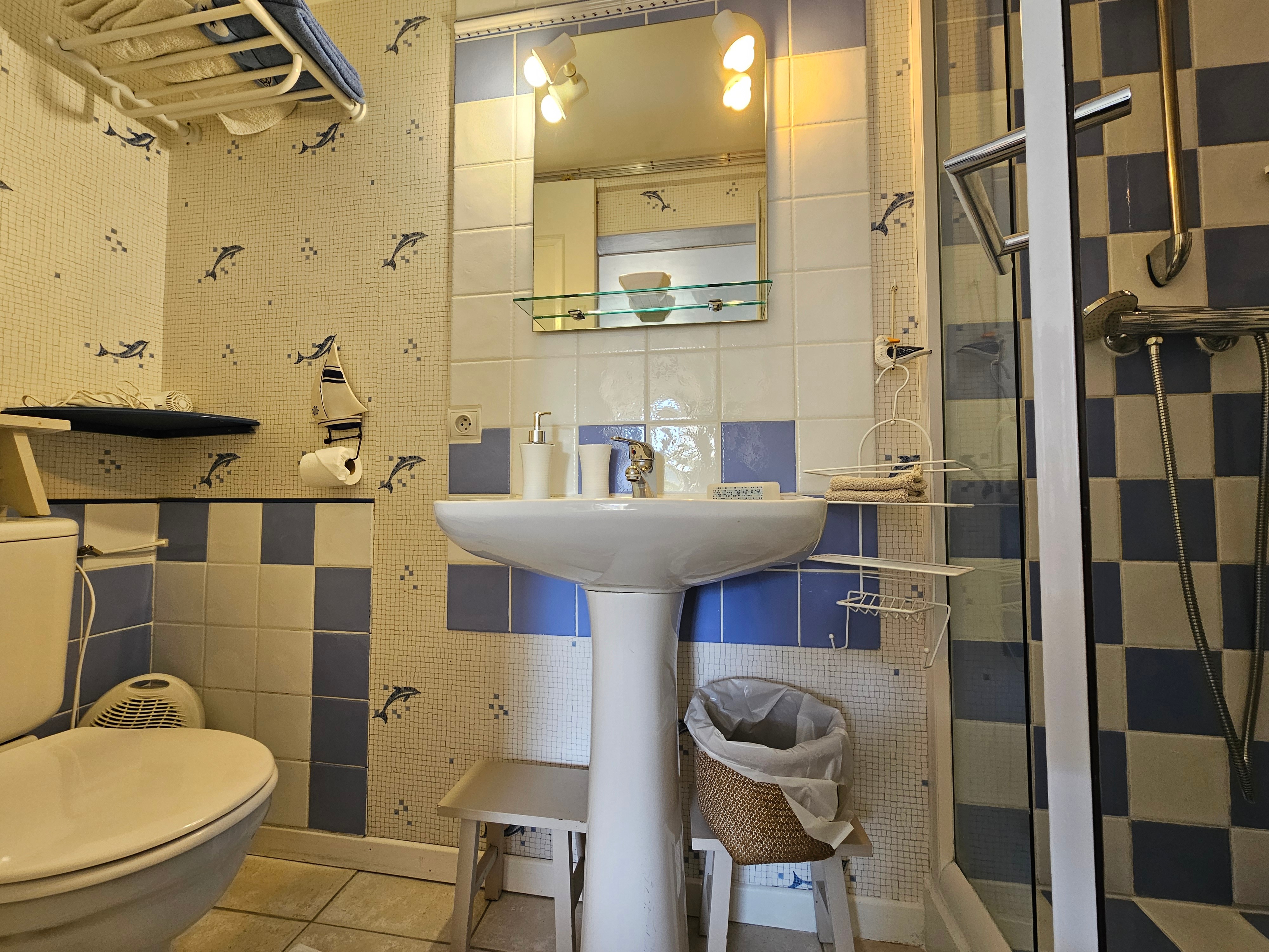 Salle d'eau avec douche et WC