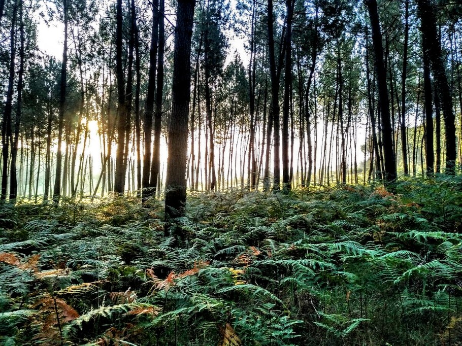 Photo n° 6 de la location