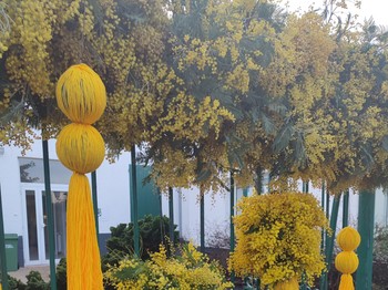 Photo n° 39 of the location