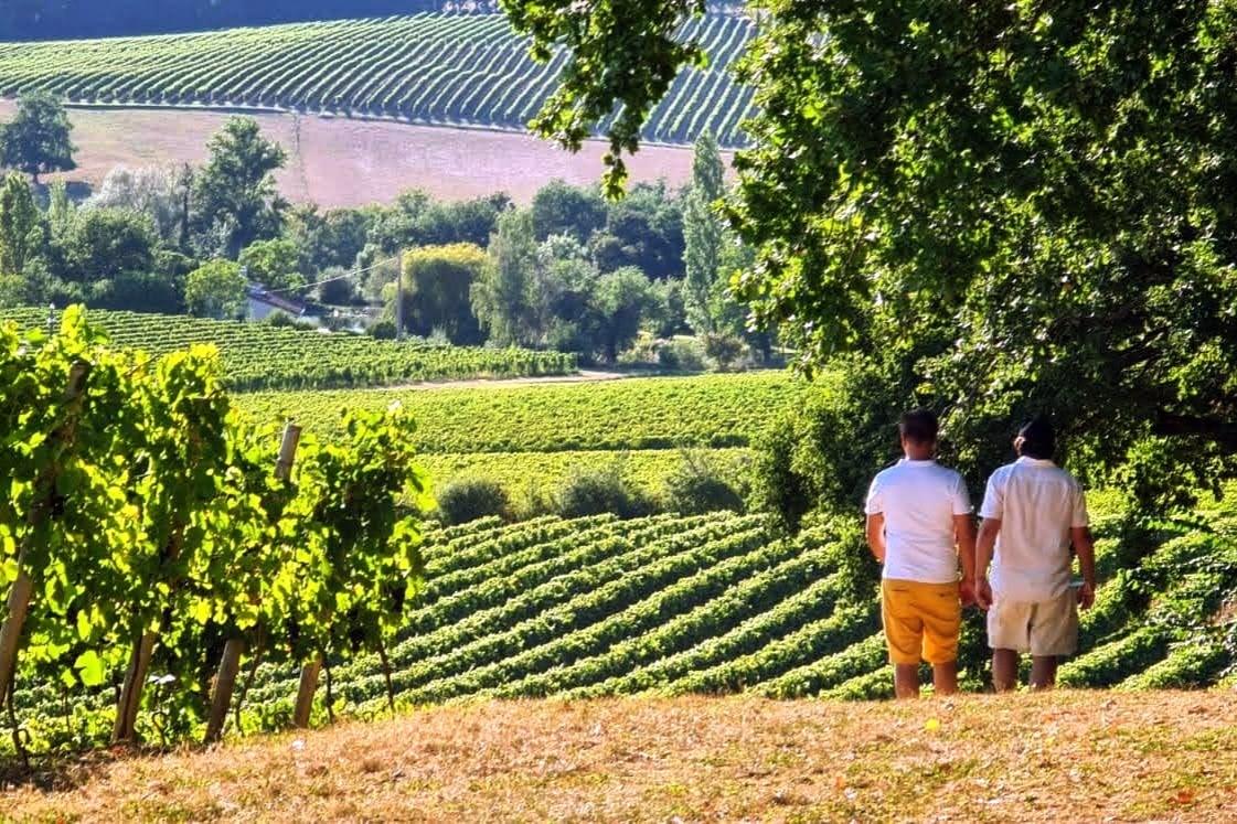 Gîte Samaret Gers en Gascogne - Randonnée dans les vignes