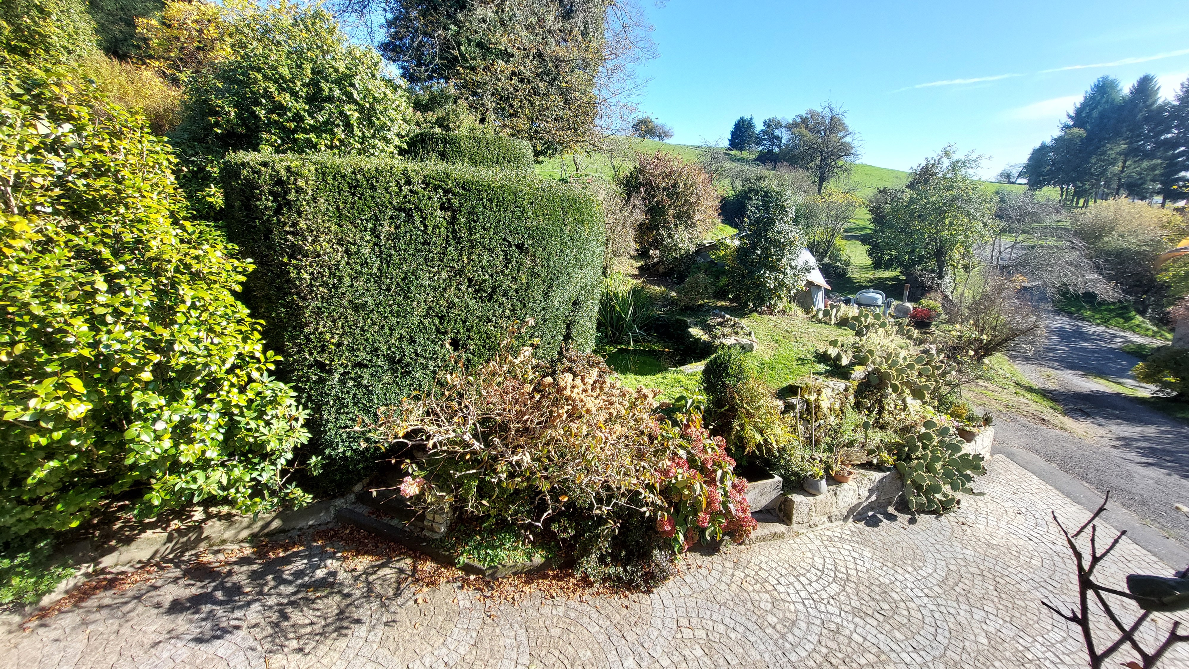 Photo n° 9 de la location