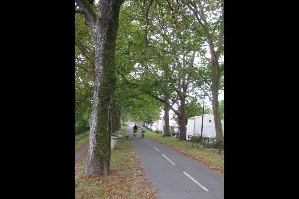 Photo n° 12 of the location