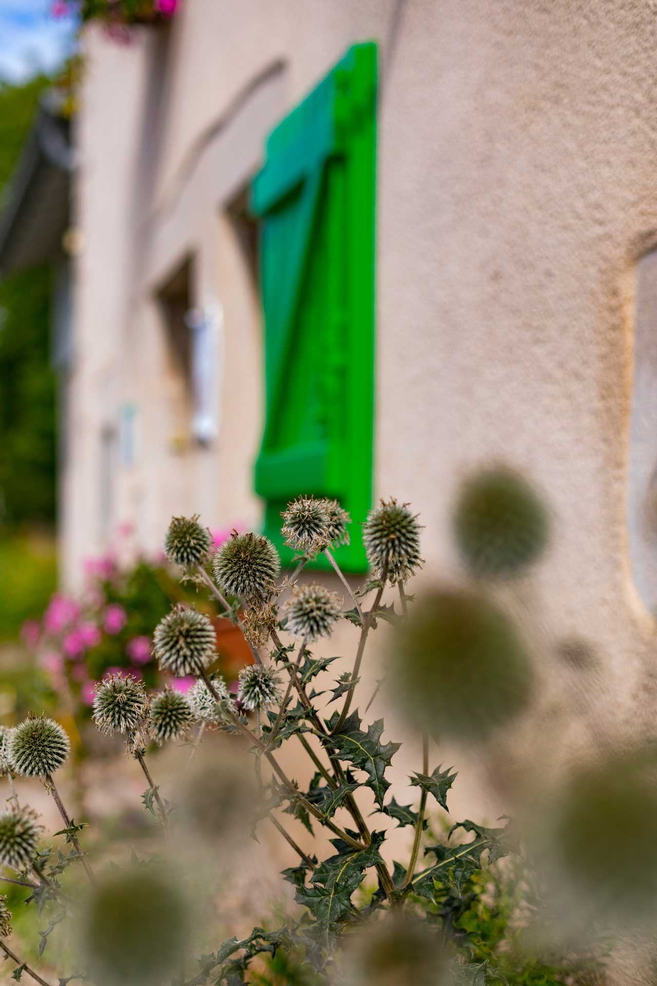 Photo n° 15 of the location