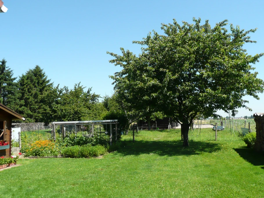 Le verger dans la propriété vu du séjour