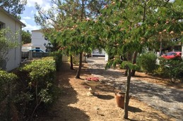 Image n° 3 de la location