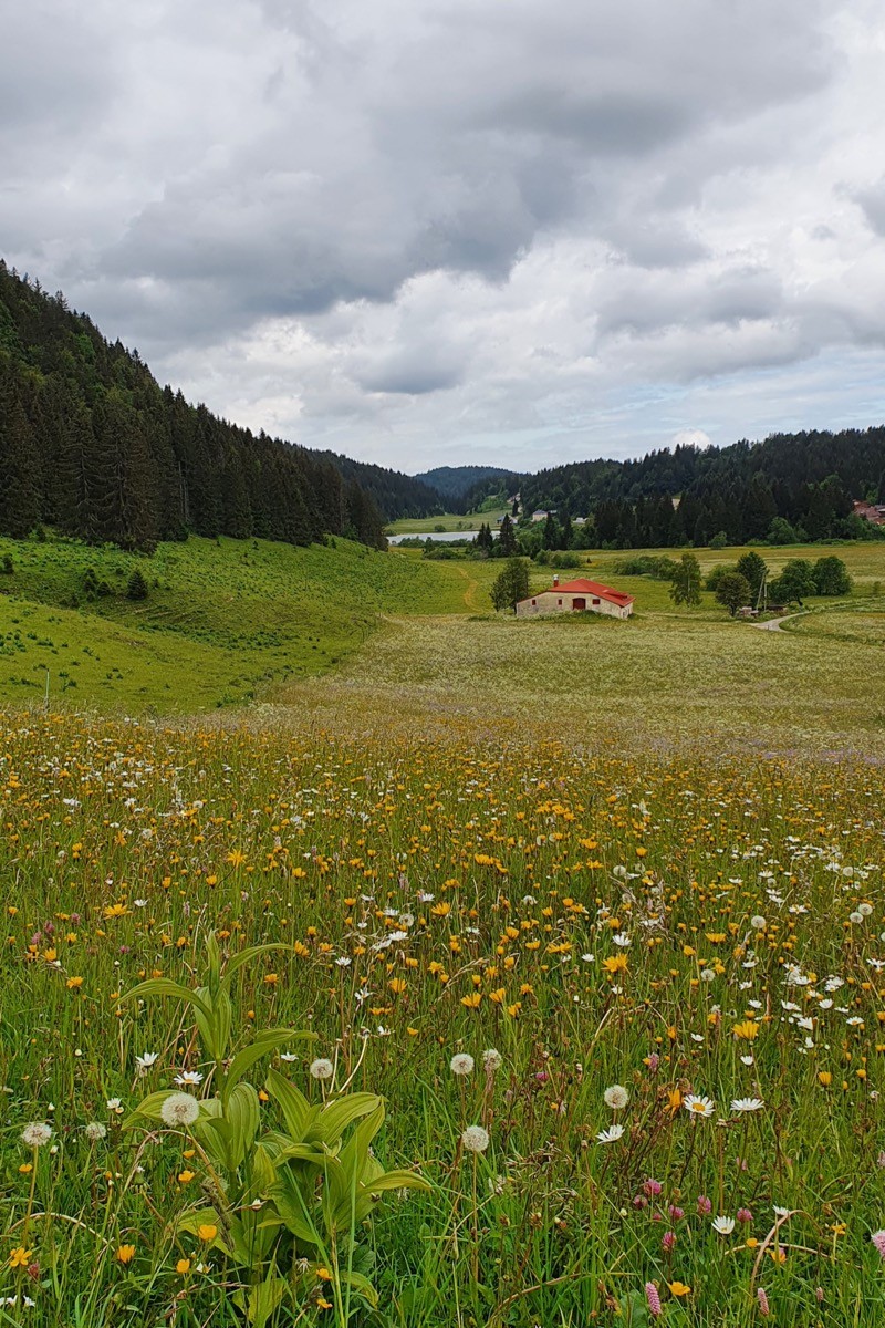 Combe du lac au printemps