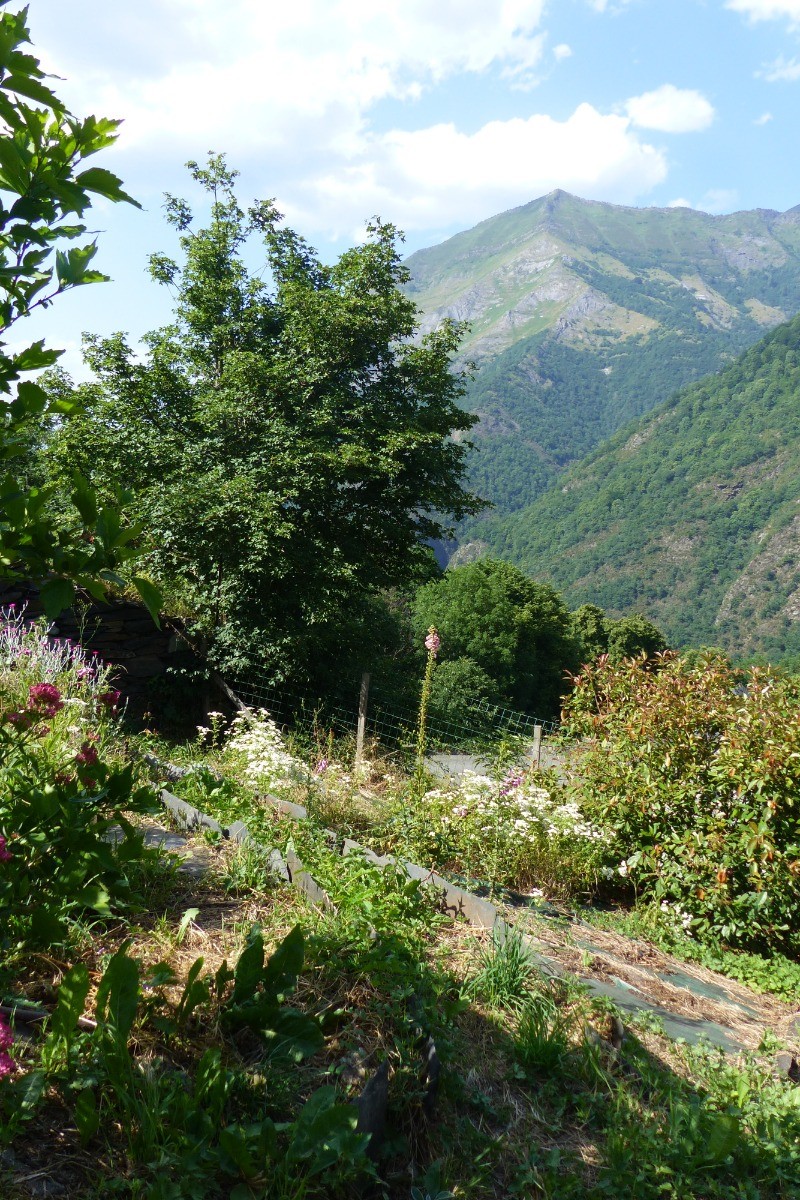 vue de la terrasse sur jardin et montagne