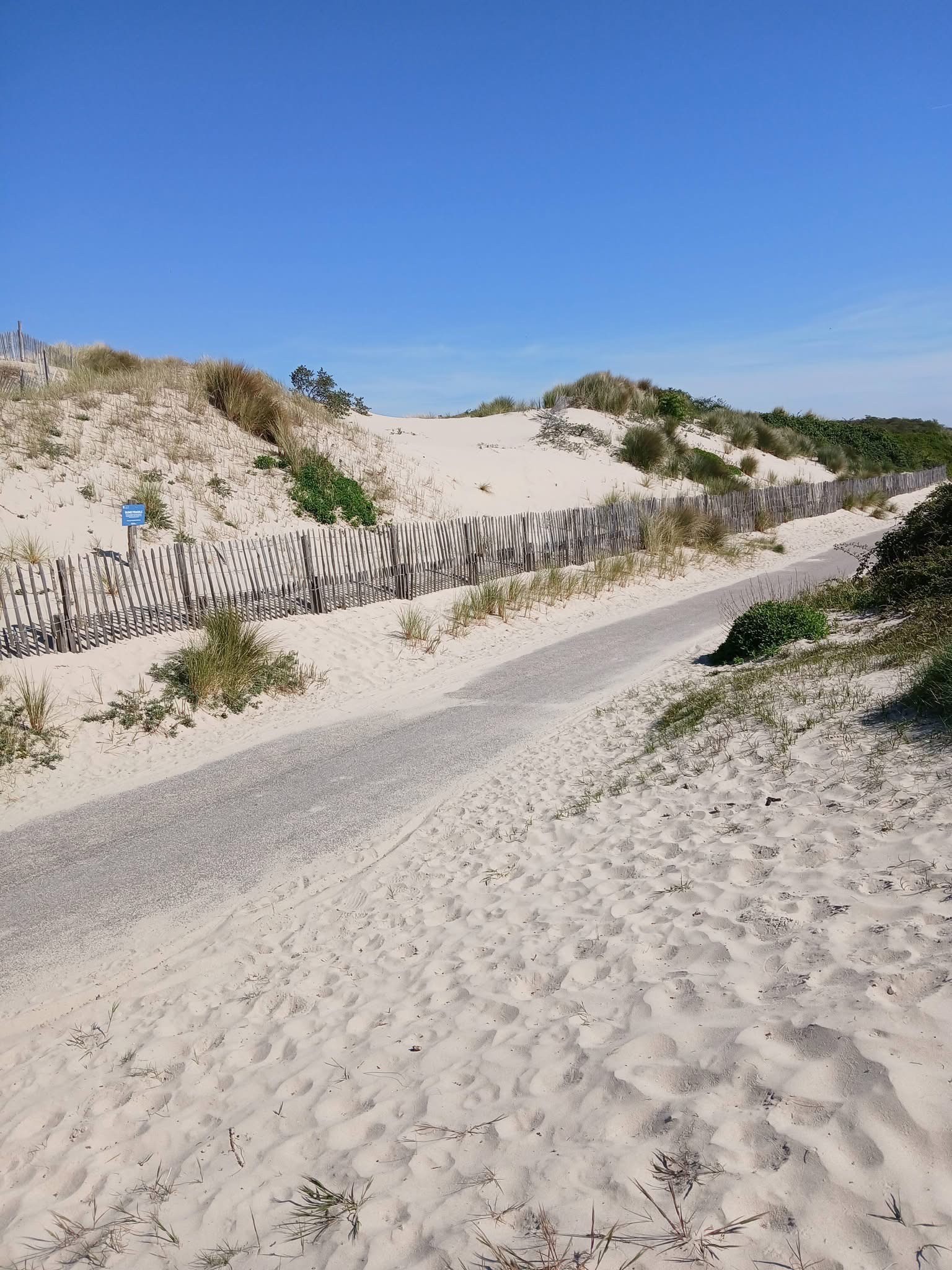 The dunes at Cayeux-sur-Mer