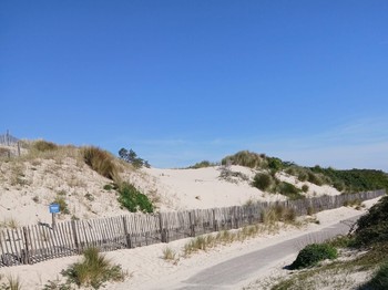 The dunes at Cayeux-sur-Mer