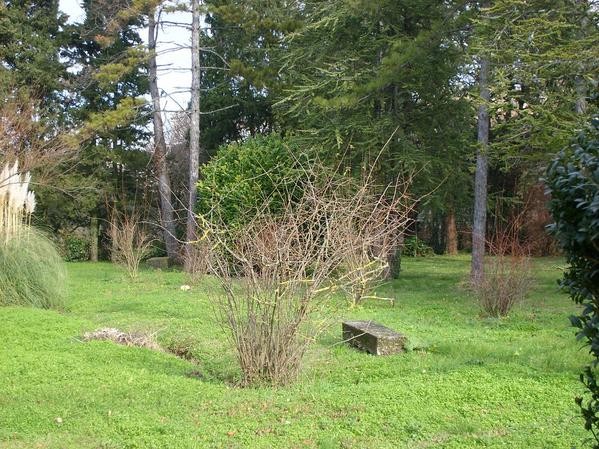Photo n° 7 of the location