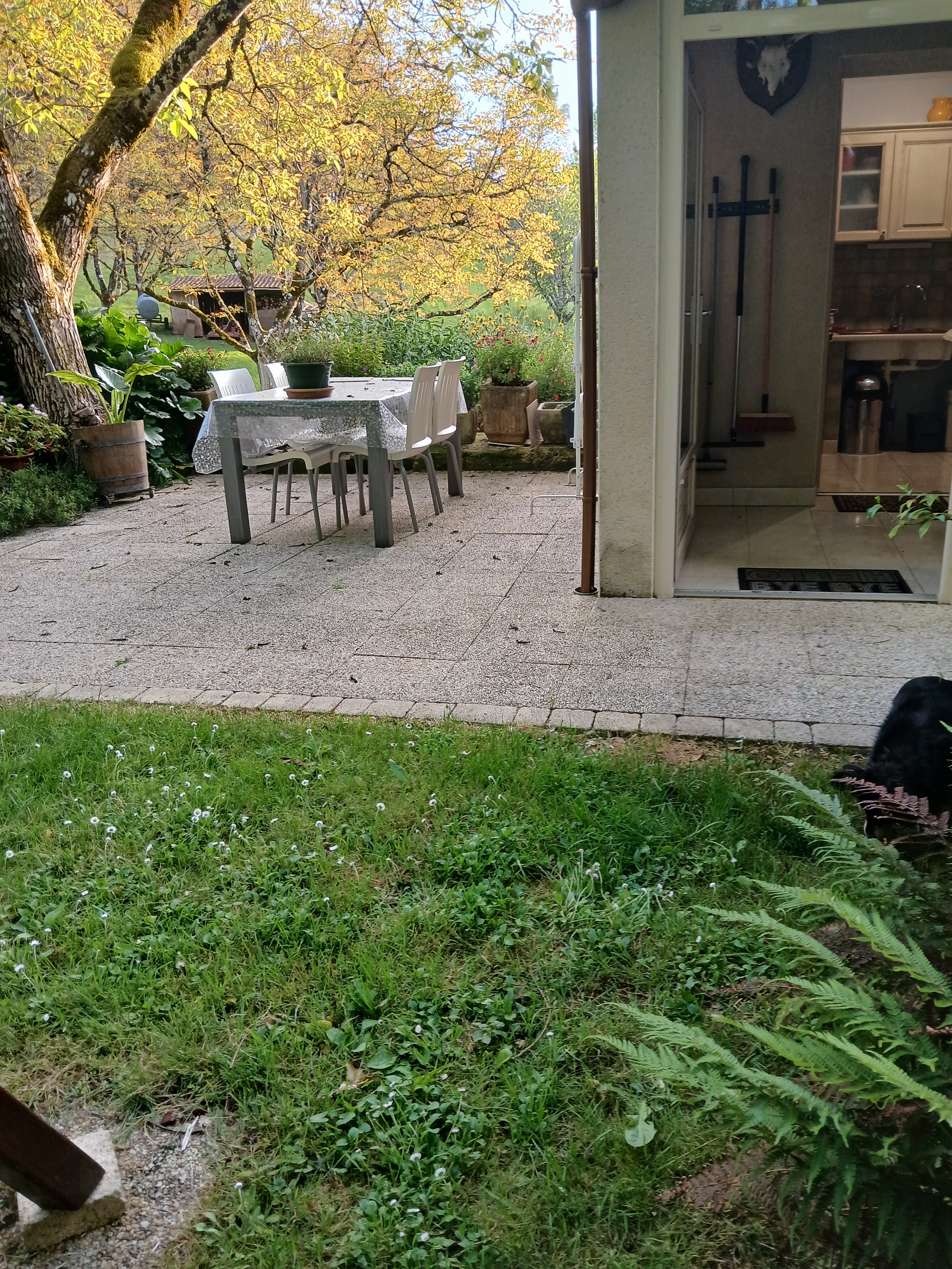 Accès terrasse