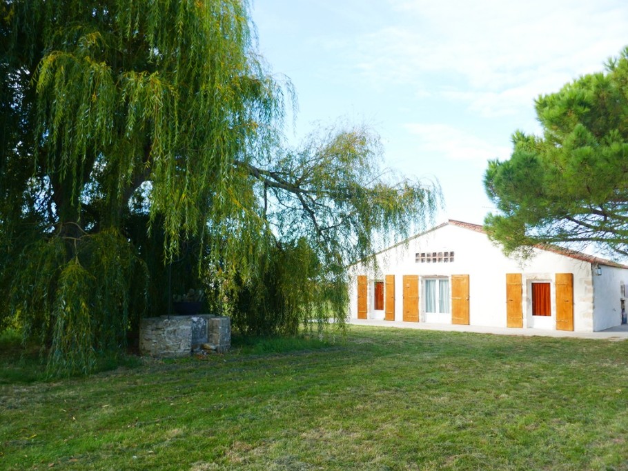 Photo n° 1 of the location