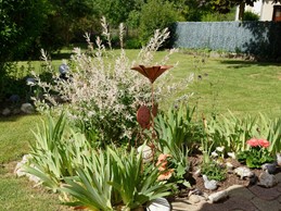 Image n° 4 de la location