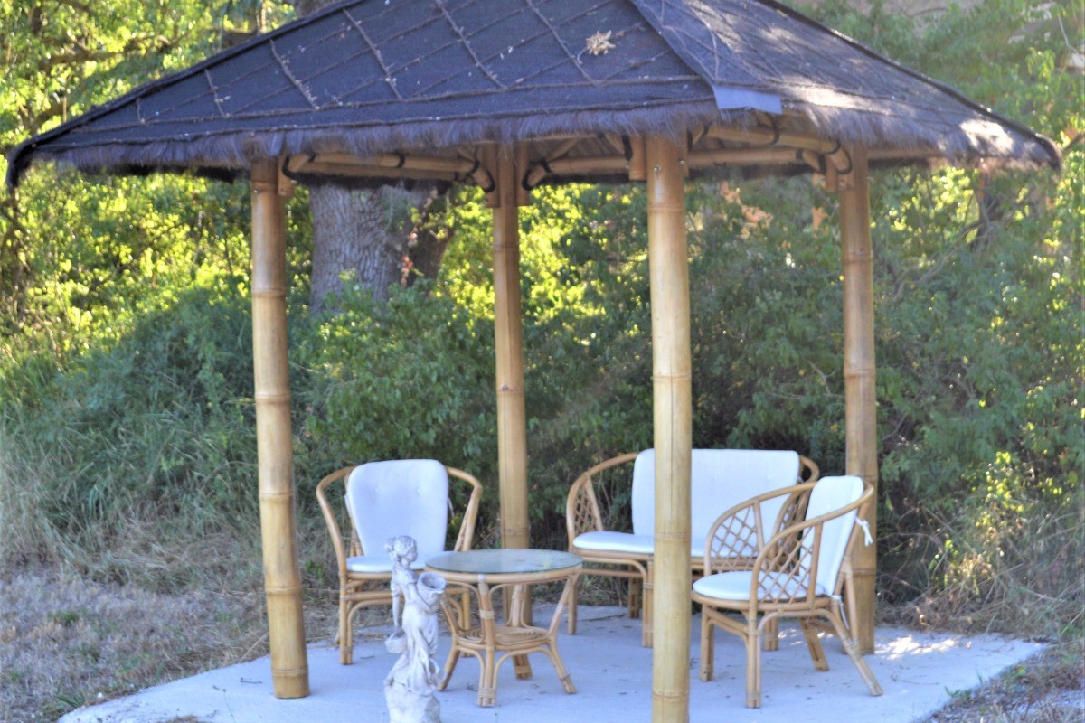 La pagode dans le parc