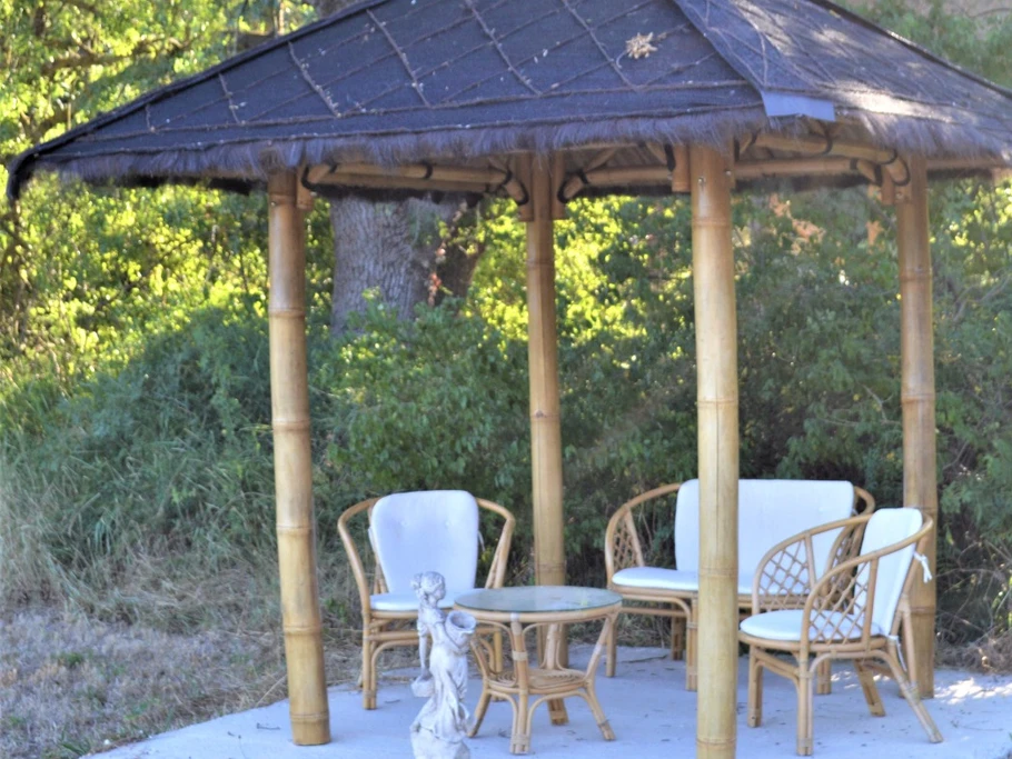 La pagode dans le parc