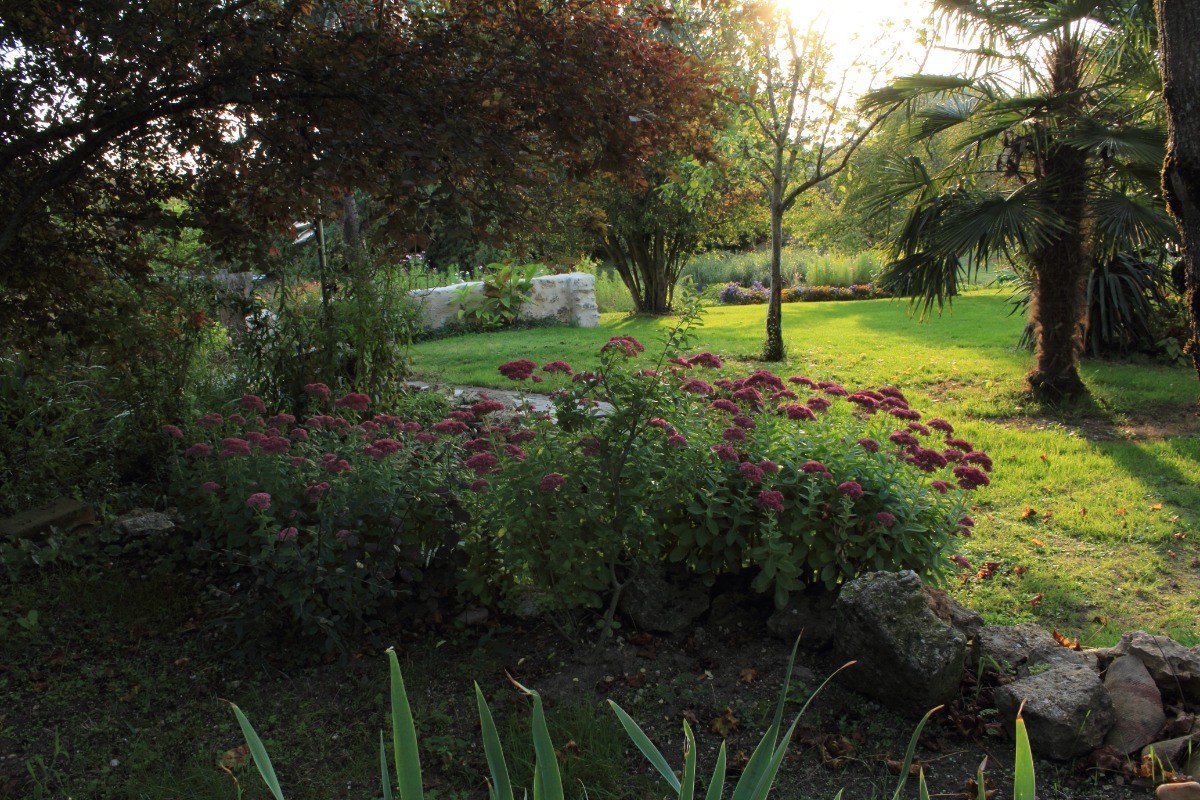 Vue sur le jardin
