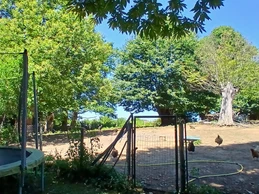 Chambre d'hôtes Floromel - La Souterraine, Creuse : nos poules !