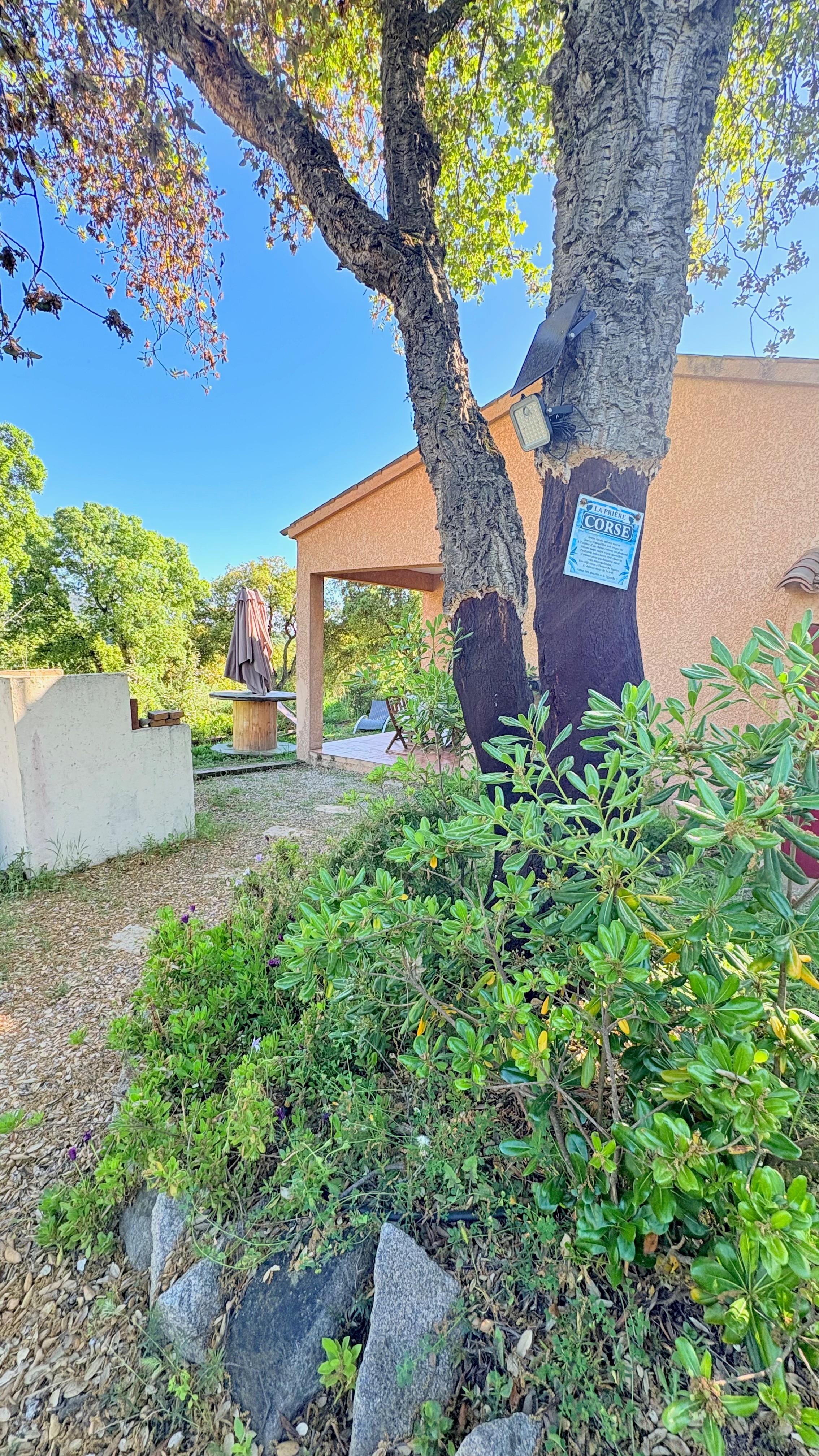 Photo n° 12 de la location