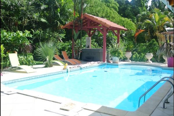 espace piscine et jacuzzi