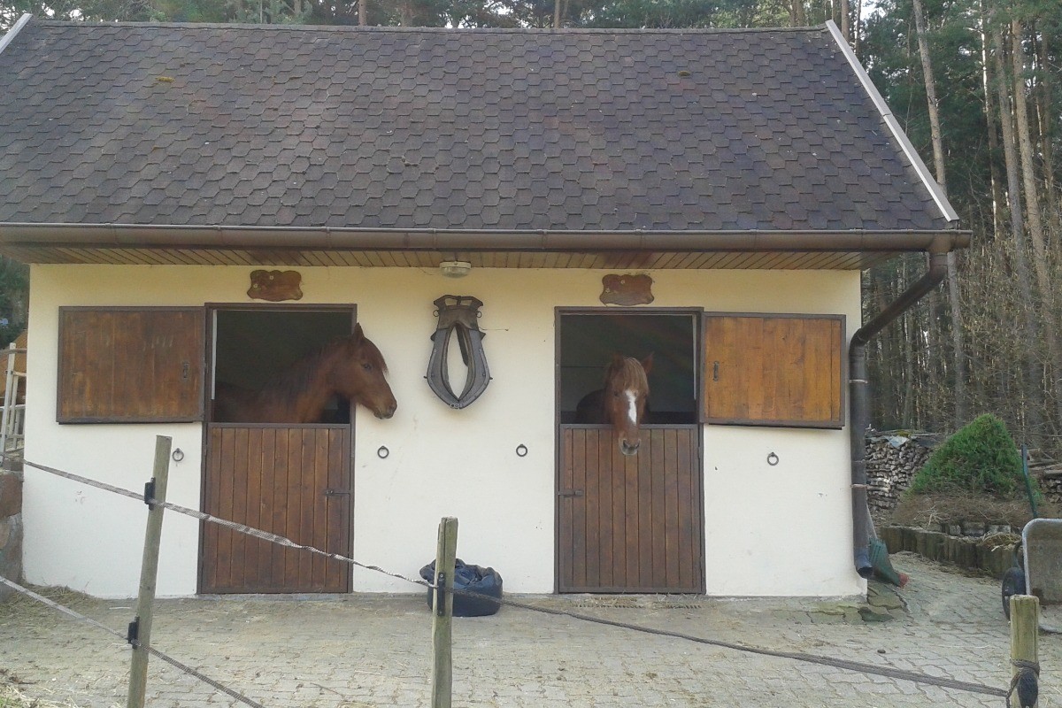 Photo n° 9 of the location