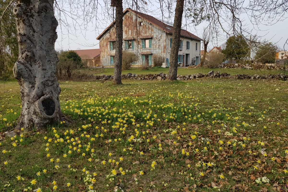 Photo n° 14 de la location