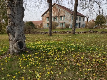 Photo n° 14 de la location