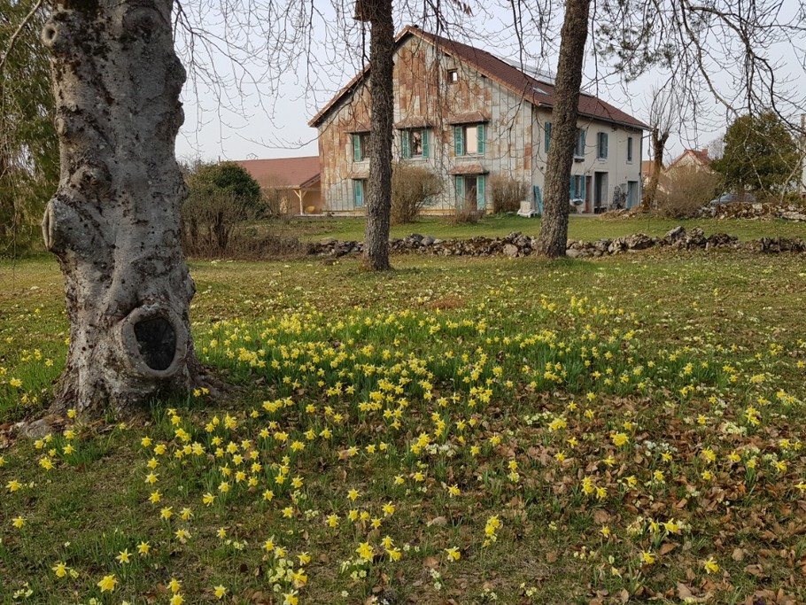 Photo n° 14 de la location