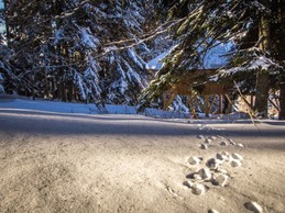 Cabane Chartreuse insolite "La Trafolle"