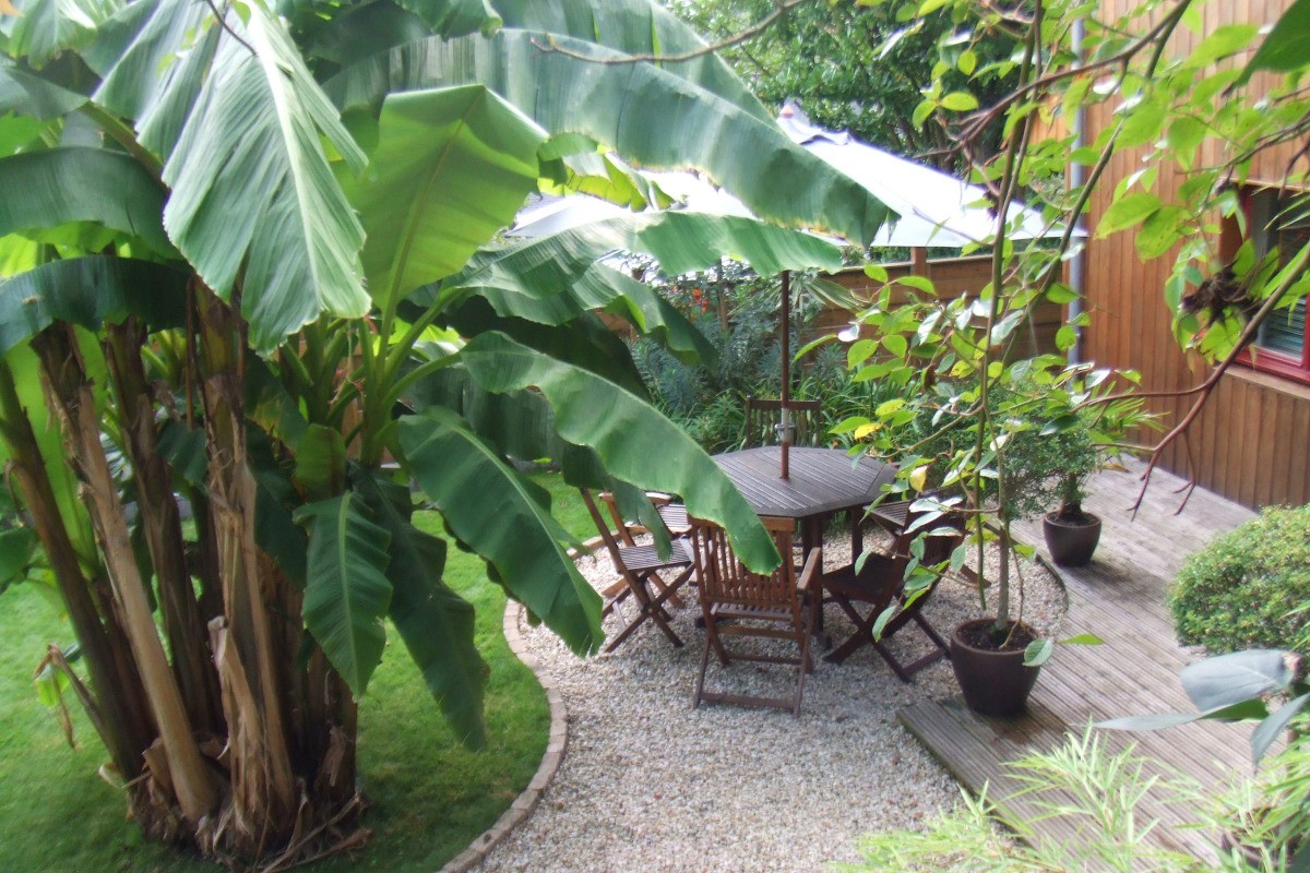Jardin, terrasse