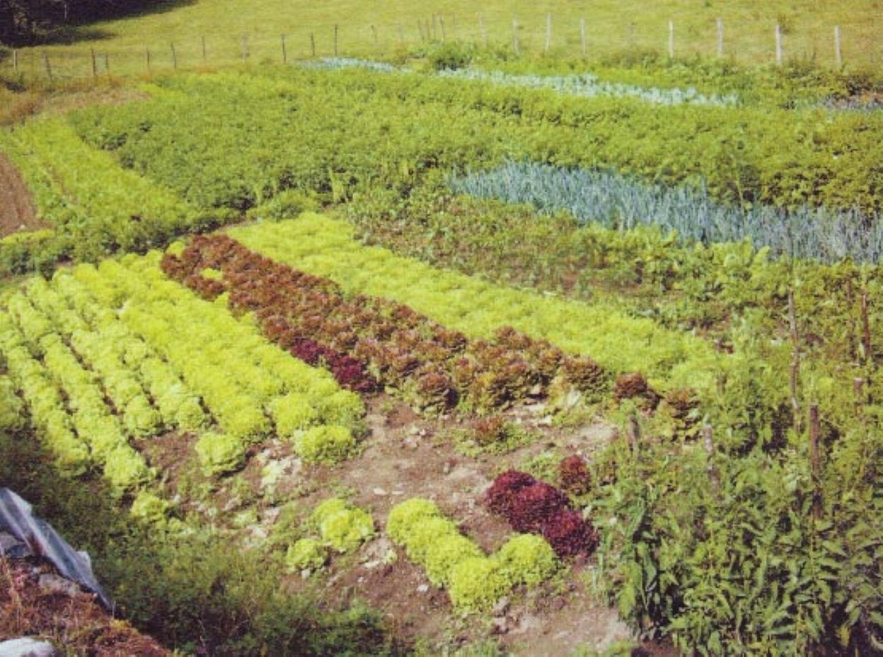 Notre jardin pour des produits frais